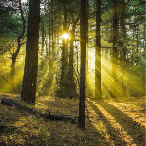 日本一区二区的视频
